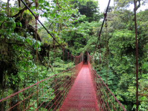 Monteverde_puente